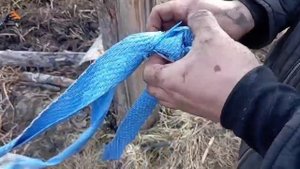 Путы (треноги) для лошади...