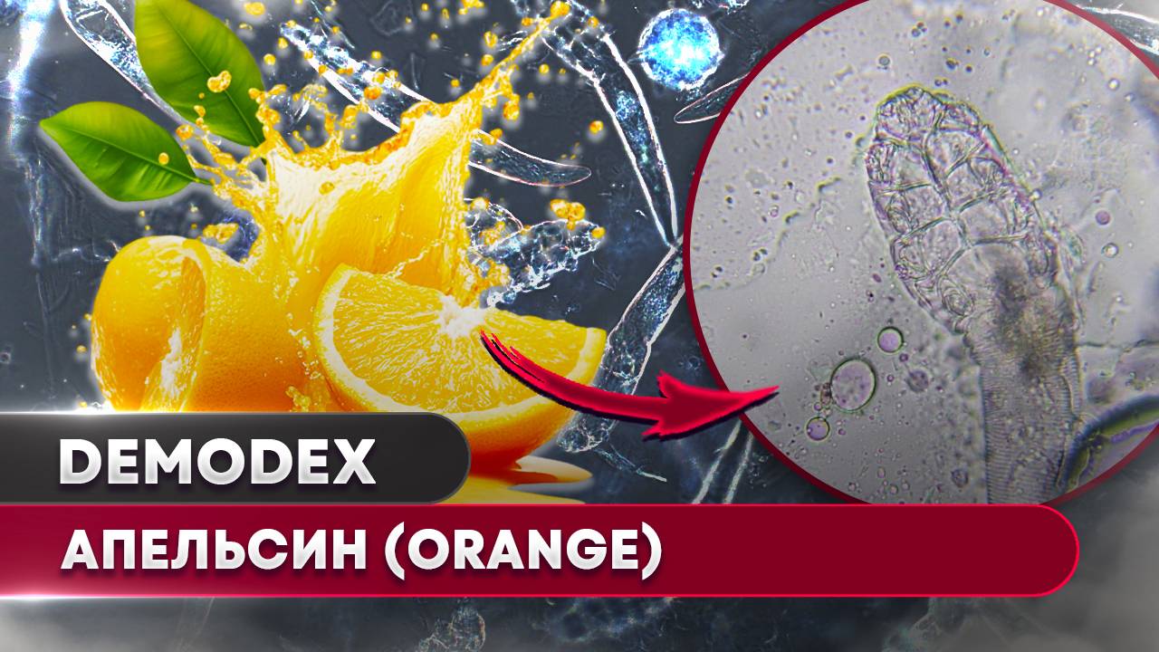 Апельсиновая корка vs. Клещи Demodex – Убьёт или нет? 🔬🍊