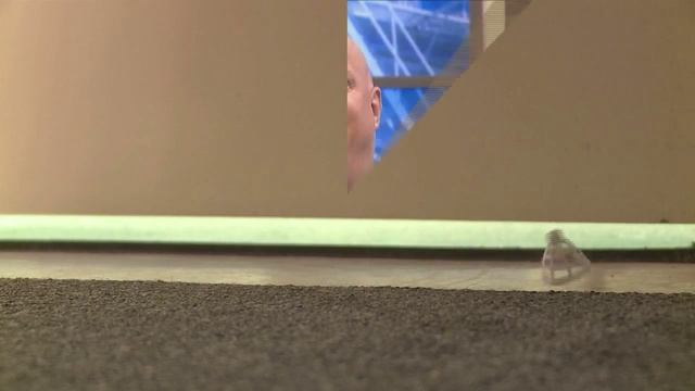 Steve's Cheat Detector Kit! | The Steve Wilkos Show смотреть онлайн