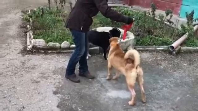 Ширли и Берта, знакомство
