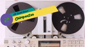 Chimpanzee 🐒 HD Sound Effect 2 (Copyright Free)