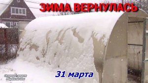 СТРИЖКА ЛУКА ЭКСИБИШЕН. Рассада ТОМАТОВ через 20 дней. Катаклизмы природы 31 марта.