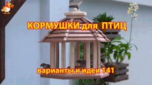 Кормушка для птиц своими руками как сделать пошагово  (141) 🪚🪛🔨 Идеи для дачи и сада❣️