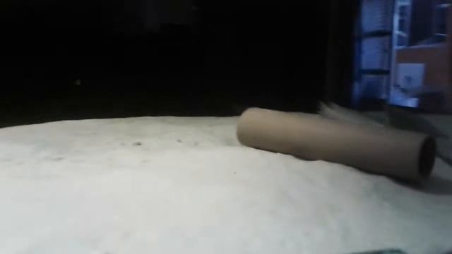 Aruana смотреть онлайн