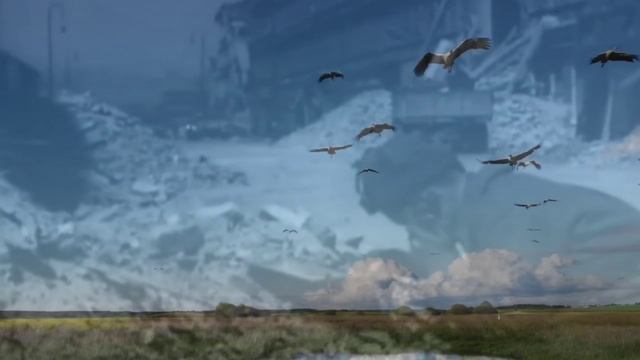 Клип на песню Аист на крыше 80 лет Победы