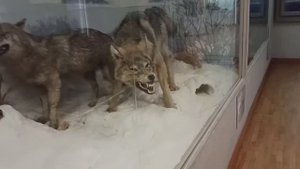 Музей в Вологодском Кремле.