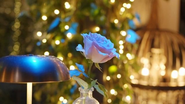 12961052_2560_1440_25fps