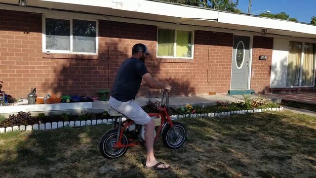 Skat Cat Mini bike смотреть онлайн