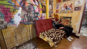 КОШМАР! Люська открыла вечером вольеры, выпустила Степу и Маню и все вместе рванули