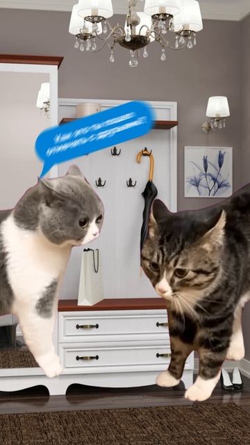 Уже подарили носки своему Джеймсу Бонду в честь праздника смотреть онлайн