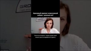 Красивый груминг агрессивной собаке - реально ли?