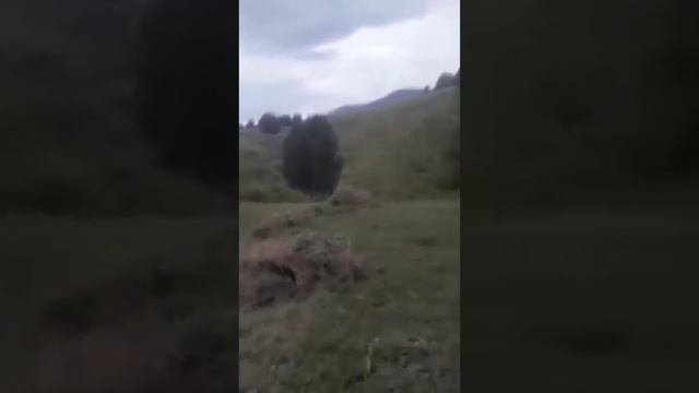 Скоро очень скоро наступят веселые моменты. Трактор брат сам собирал по частямсенокостракторлето