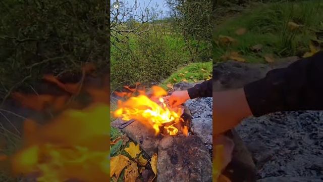 VID-20250326-WA0188