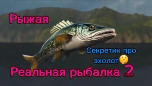 Реальная рыбалка 2. Секретик про ЭХОЛОТ 🤭