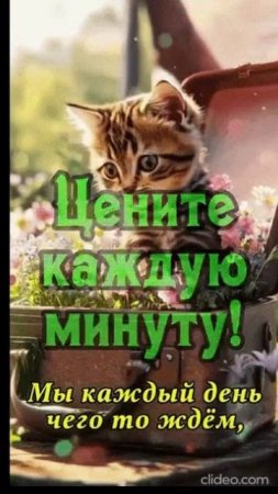 ВЕСЕЛОГО ВАМ ДЕНЕЧКА. Shorts.
