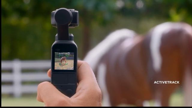 best vlogging camera 2022 | Top 5 vlogging camera under $300-500 2023 | best camera for youtube смотреть онлайн