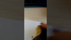 Orion Choco pie малина