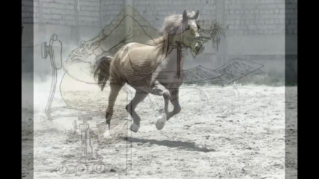 Так то вот смотреть онлайн