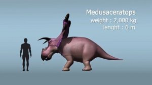 Dinosaur profiles 03