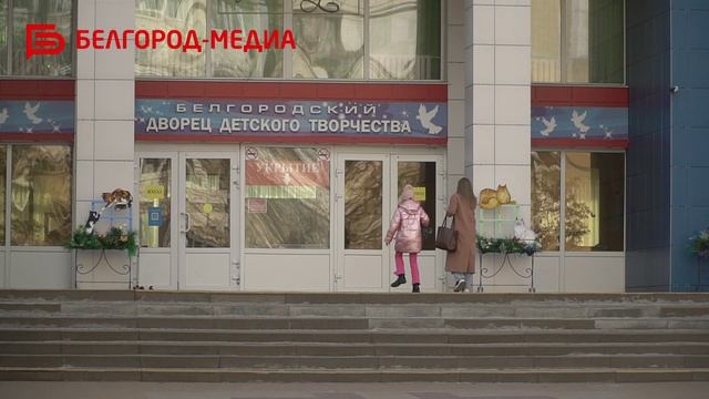Что думают белгородцы о платных парковочных местах? | Опрос