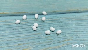 Корзина с крашенными яичками - миниатюра для пасхальной ватной игрушки