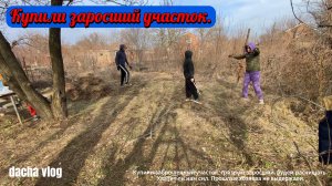 Купили заброшенный, в хлам заросший участок, по низу рынка. Хотим дачу.