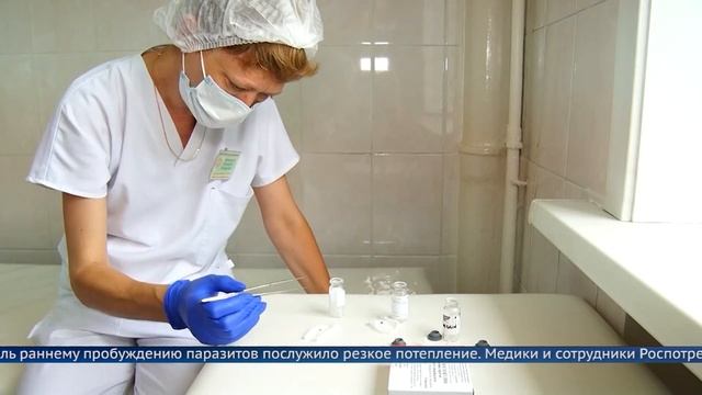 Первый клещ смотреть онлайн