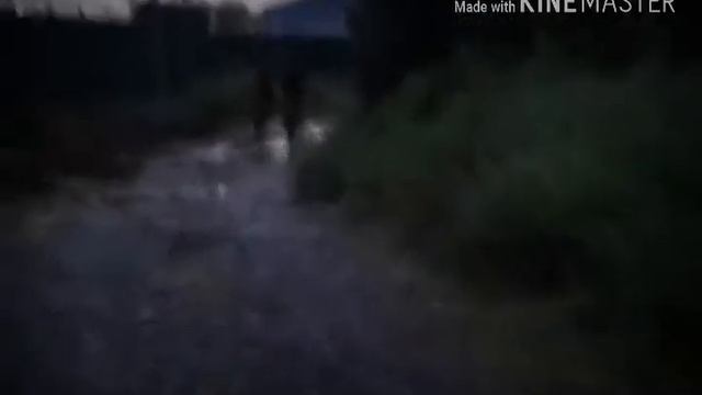 Вело гонка смотреть онлайн