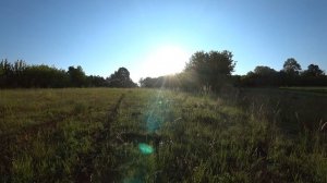 РЕЙД ПО ЛОВУШКАМ. ПОЙМАЛ ПЕРВЫЙ РОЙ 2024 ГОДА. ШЕРШЕНЬ АТАКУЕТ ПЧЕЛ.