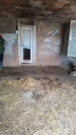 ПОДГОТОВКА САРАЯ к ЗАЕЗДУ  ИНДЮШАТ. ТГК:DanilaFermer #farming #деньвдеревне #животные #дача #обзор