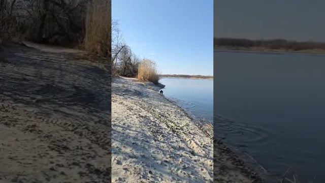 Баларис ГАРАНТИЯ наслаждается жизнью