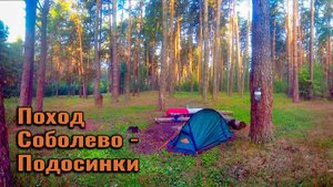 Поход в лес с ночёвкой. Соболево - Подосинки. Река Нерская
13.07.18