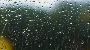 Ушедшим друзьям