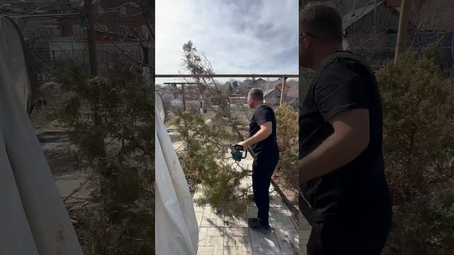 СЕКРЕТНЫЙ РЕЦЕПТ ИДЕАЛЬНОГО ДВОРА: смешать 1 аккумуляторный секатор, 1 пилу и щепотку воздуходувки