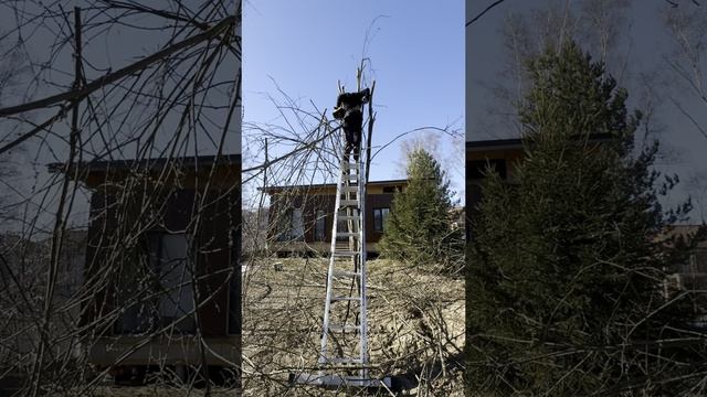 Незаменимый помощник на дачном участке 😌
