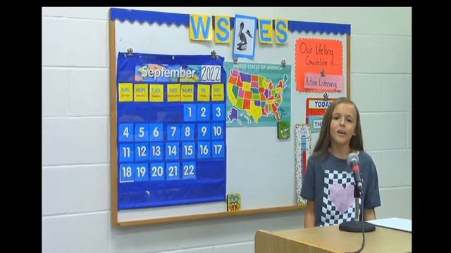 WSES Sweetwater Pelican News