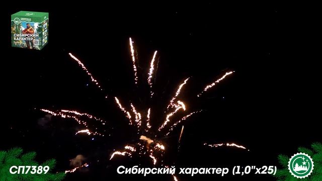 СП7389 смотреть онлайн