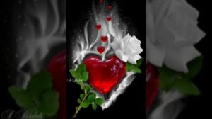 дидама ки маро дидиву хаирон🥺 монди бехтарин песная 😢