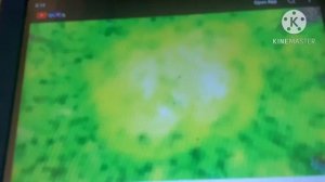 Pixar Screams (Part 20)