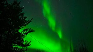 РР4 с бутерами и чаем