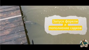 Запуск 100 кг форели и пополнение садков