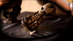 Мумии. По следам древних культур. Тизер