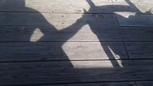 Баклан попрошайка Должа смотреть онлайн