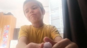 все табалапки