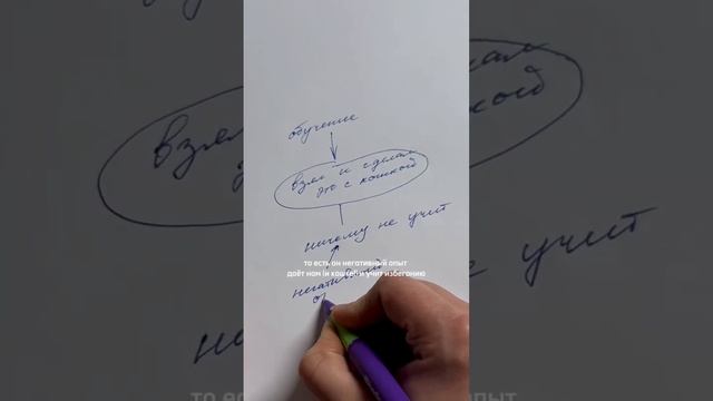 Кошачья психология «на пальцах» или почему большинству не удается научить кошек навыкам?