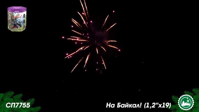 СП7755 смотреть онлайн