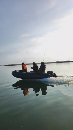 База Дом Рыбака у Петровича! Веселовское водохранилище! Рыбалка на Маныче!