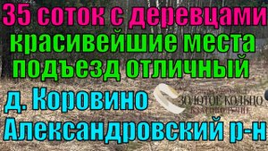 35 соток с лесными деревцами в живописной дер.Коровино, вблизи гор.Карабаново Александровский р-н.