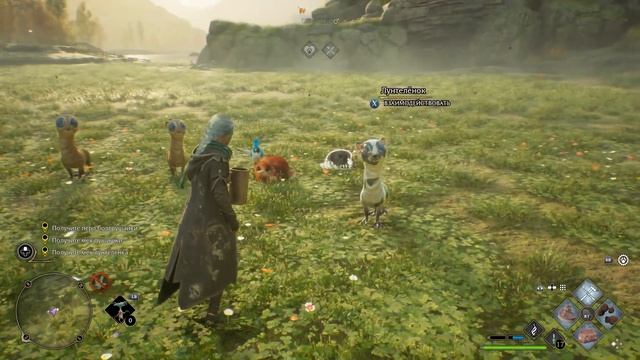 ОПЕРАЦИЯ ПО ВСАСЫВАНИЮ ЖИВОТНЫХ | Hogwarts Legacy #17 смотреть онлайн