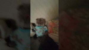 учим правила безопасности